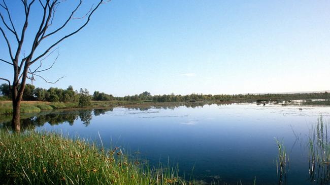 The Kaurna Park wetlands at Salisbury.