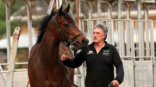 Terry Evans and his racehorses have survived the Tuncurry fires. Picture: Peter Lorimer