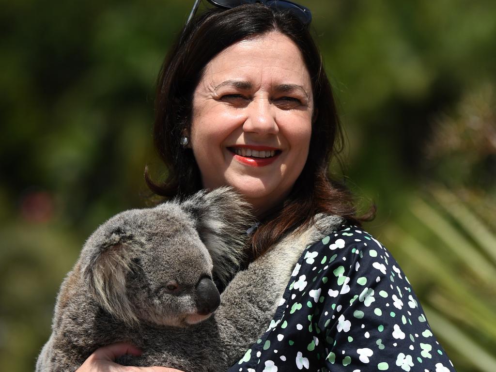Queensland Premier Annastacia Palaszczuk holds a koala during a visit to Australia Zoo on the Sunshine Coast, while on the hustings. Picture: NCA NewsWire /Dan Peled