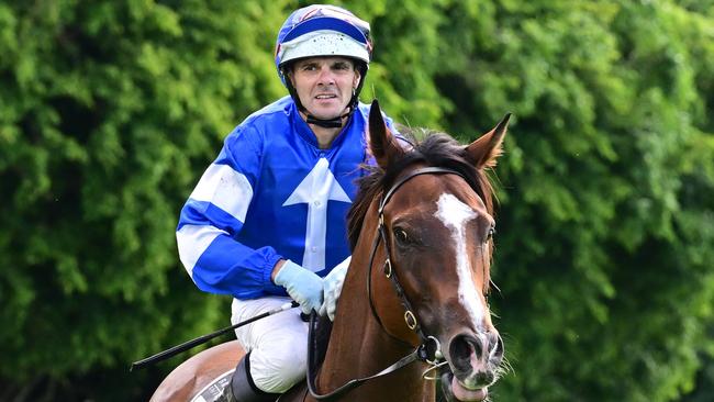 Noel Callow has been enjoying strong success of late. Picture: Grant Peters/Trackside Photography