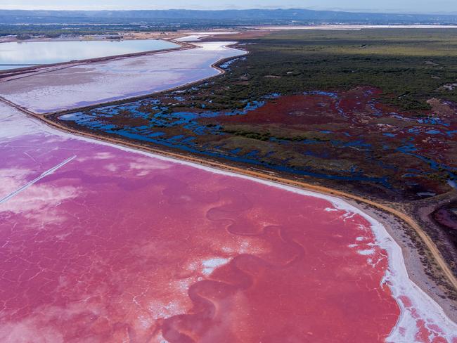 Mangrove devastation revealed in shock new pictures