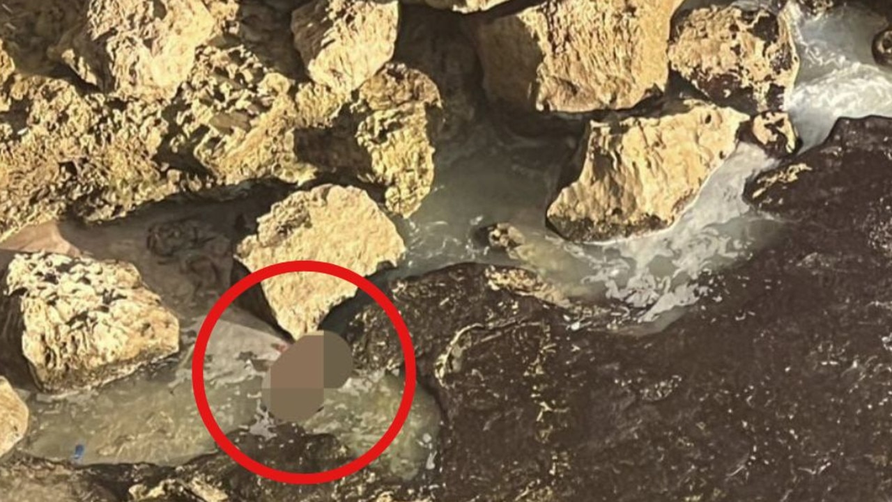 Bali tourist’s chilling discovery in photo