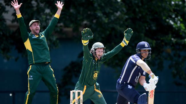 Josh Sundberg and Blayde Baker get excited. Picture: Andy Brownbill