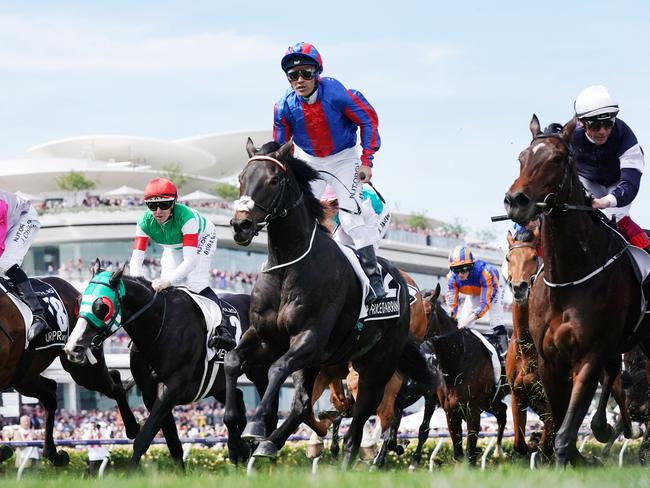 Michael Walker and Prince Of Arran after finishing the Melbourne Cup.