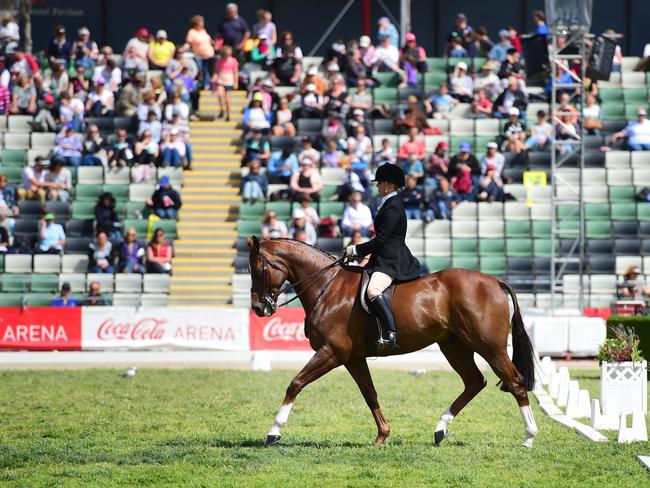 Shae Hanger riding Chosen One during the event. Picture: Zoe Phillips