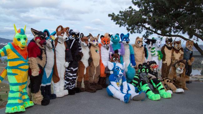 Get ready for the furries, Sydney. Picture: Elrico Cattaneo