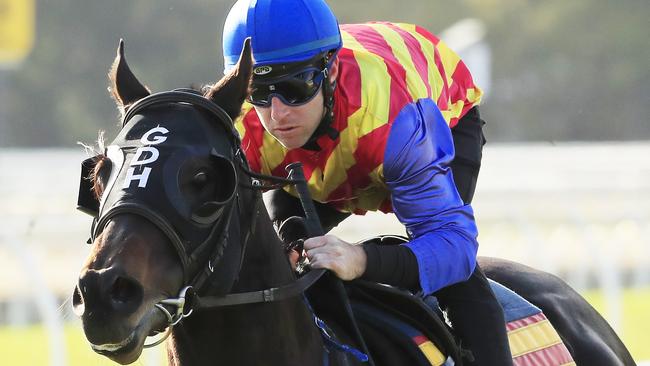 Pierata has the right form to win the REdzel Stakes. Picture: Getty Images