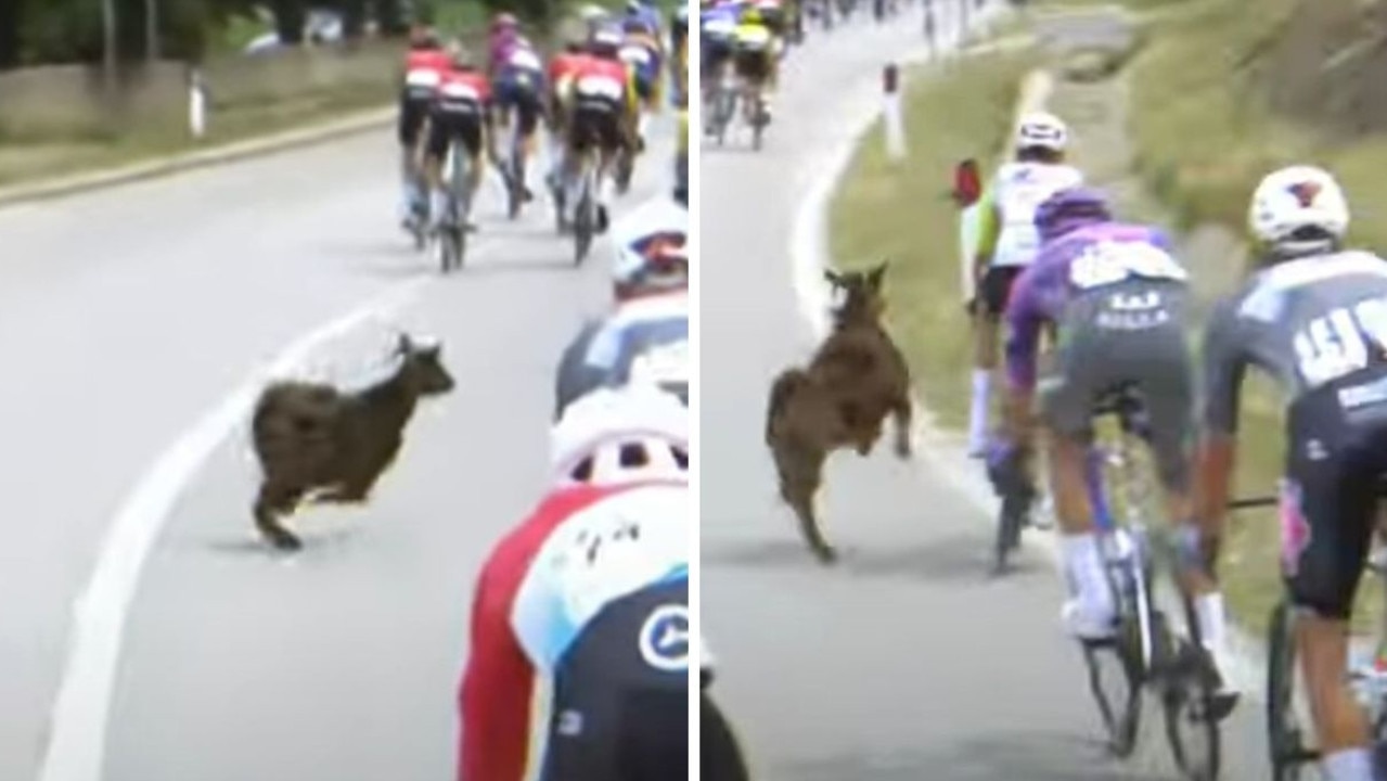 Road attack has to be seen to be believed