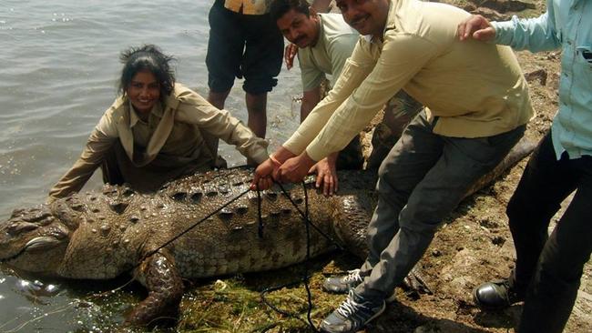 The NT Ranger Association is raising money to help Rajasthan forest ranger Prem Kanwar Shaktawat to Darwin for the International Union for Conservation of Natureâ&#128;&#153;s Crocodile Specialist Group conference. The Indian ranger has been celebrated for saving more than 500 animals, including mugger freshwater crocodiles.