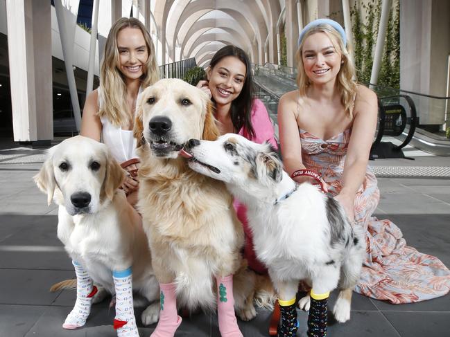 Artist Misaki Kawai creates art dedicated to man's best friend, the dog. In collaboration with Chadstone and NGV, there will be a large scale dog exhibition and a competition to name the one of a kind pup in the centre. Fashion models and puppies in socks Mikaela Schreuder with Buddy, Ava Coburn with Banff and Natalia Kalinowski with Archie at Chadstone Shopping Centre.   Picture: David Caird