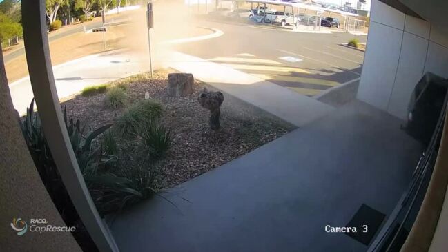 Dramatic footage shows moment car smashes into RACQ CapRescue office