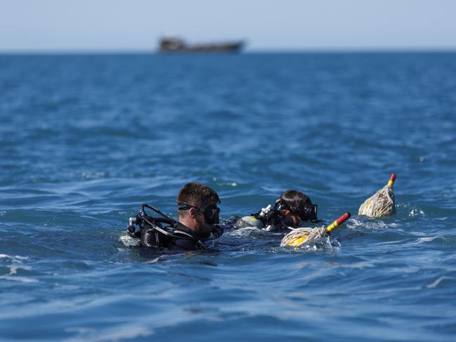Captain Lyon’s last-second evasive manoeuvre likely saved four lives during the catastrophic Army helicopter crash in the Whitsundays.