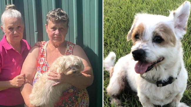 Karen Berry is devastated after her beloved dog Apache was killed by a pitbull at a Maryborough dog park.