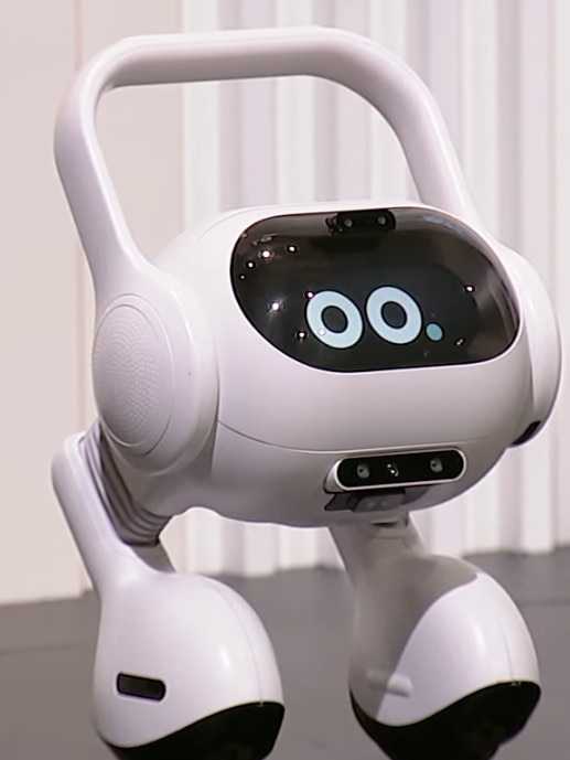 LG's smart home AI agent robot can assist with daily tasks.