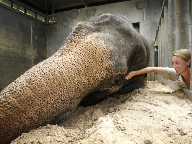 Bong Su celebrated his 40th arrival anniversary in February. Picture: David Caird