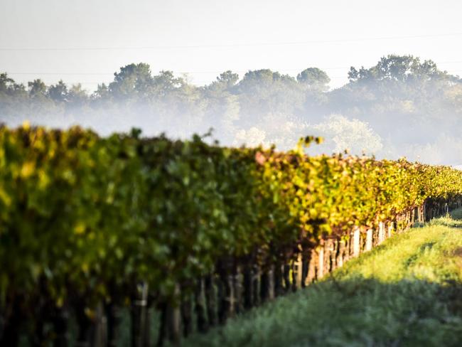 Chateau Cambon la Pelouse. Source: Treasury Wine Estates