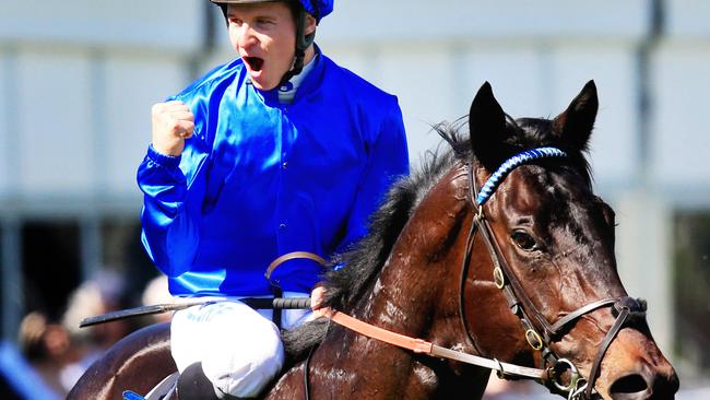 Exosphere will be hard to beat in the TJ Smith Stakes. Picture: Mark Evans