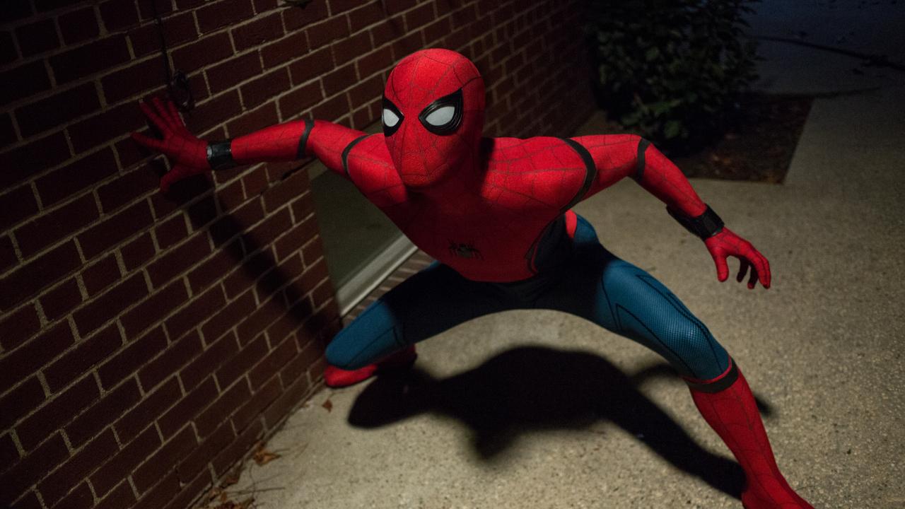 Gold Coast Spider-Man caught following crime spree | Gold Coast Bulletin