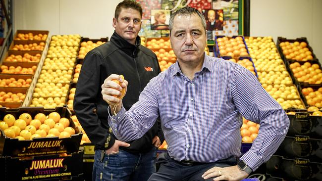 Horticulture Coalition of SA chairman Angelo Demasi with citrus specialist Pete Mercurio of Bache Bros at the SA Produce Market in Pooraka. Picture: Mike Burton