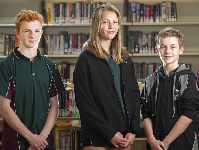 Clarence High School students Ben Ryan 14, Joni Uytendaal 14, Nick Birch 13 and Priya Bowering 13. Picture Chris Kidd