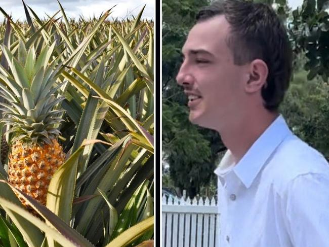 Caleb Mead, 20, pictured, told the court he had been working on the Maxwellsâ farm when the incident happened on August 1, 2022, when he was picking pineapples with other workers.