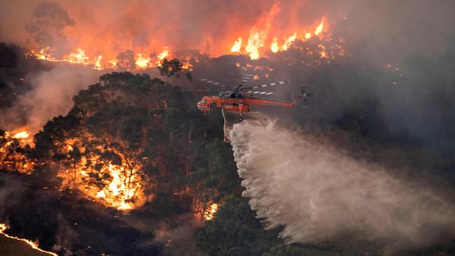 Fires have raged across the state since New Year’s Eve. Picture: AFP