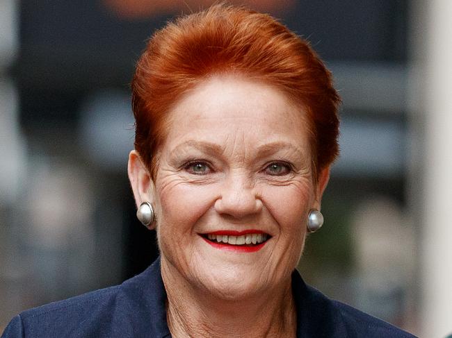 SYDNEY, AUSTRALIA - NewsWire Photos APRIL 30, 2024: Senator Pauline Hanson arrives at Federal Court on Tuesday. Green senator Mehreen Faruqi is suing Pauline Hanson under the Racial Discrimination Act after the One Nation founder told her to Ãpiss off back to PakistanÃ Picture: NCA NewsWire / Nikki Short