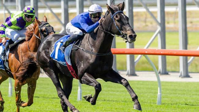 A Samurai Mind scores a win at Morphettville Parks. Picture: Makoto Kaneko