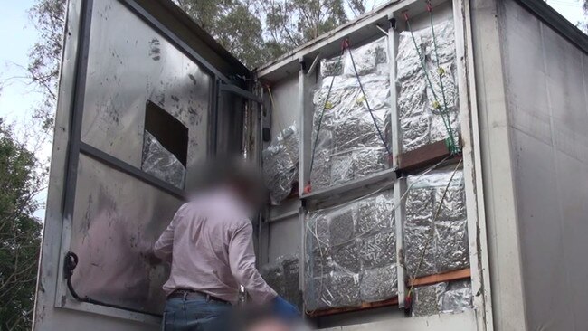 A total of 113kg of marijuana was found in the police raids.