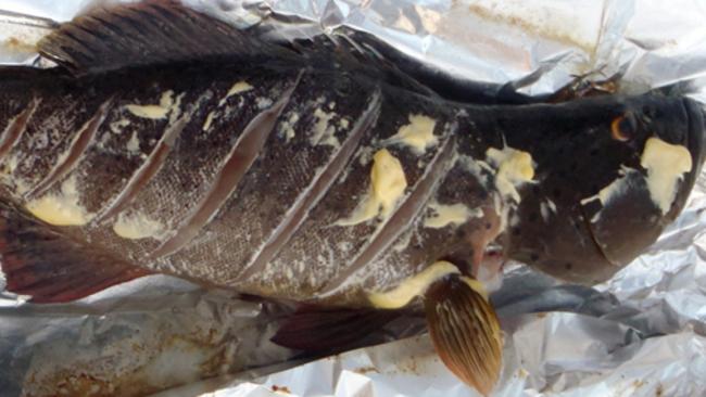 Sometimes simple is best. A gilled and gutted coral trout before and after cooking on a fire