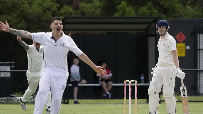 Gone: Narre Warren’s Josh Dinger removes Springvale South batsman Mitchell Forsyth for five. Picture: Valeriu Campan