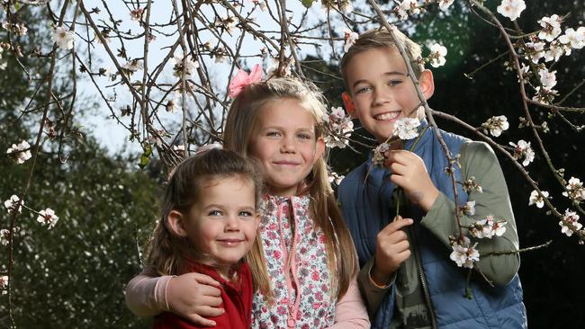 Claire, 3, Hilary, 6, and Mitchell, 9, will be heading to Willunga this Saturday. Picture: AAP/Emma Brasier