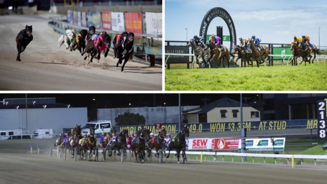 All three codes of racing have been suspended in South East Queensland until Monday