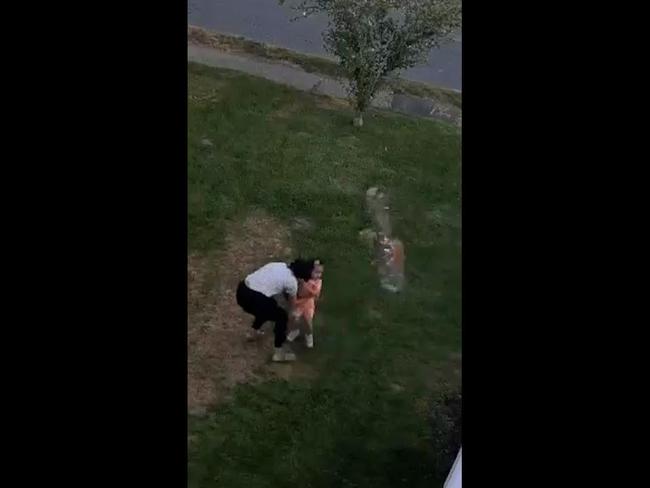 Wild moment huge hawk thinks toddler is a snack