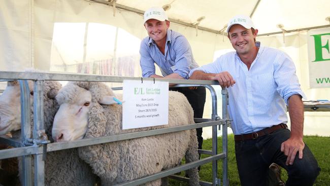 Marcus and Tom Hooke see value in smaller paddocks and smaller mobs to help protect soils. Picture: Andy Rogers