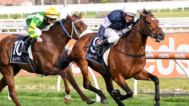 Orderofthegarter strides out under jockey Damien Oliver to win the MRC Foundation Cup at Caulfield. Photo: Reg Ryan/Racing Photos via Getty Images.