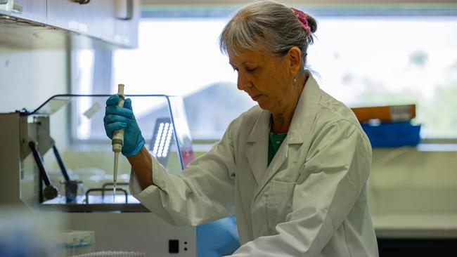 Karen Gibb is a microbiologist professor at CDU. Picture: Pema Tamang Pakhrin