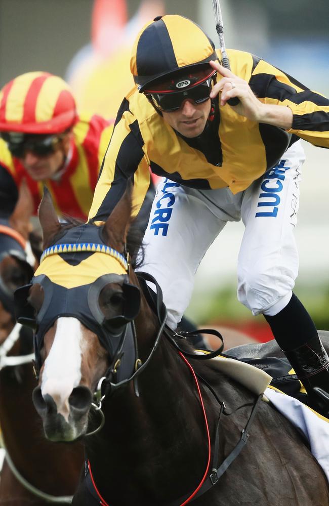 Trapeze Artist adds The All Aged Stakes to his TJ Smith Stakes victory this autumn. Picture: Getty Images