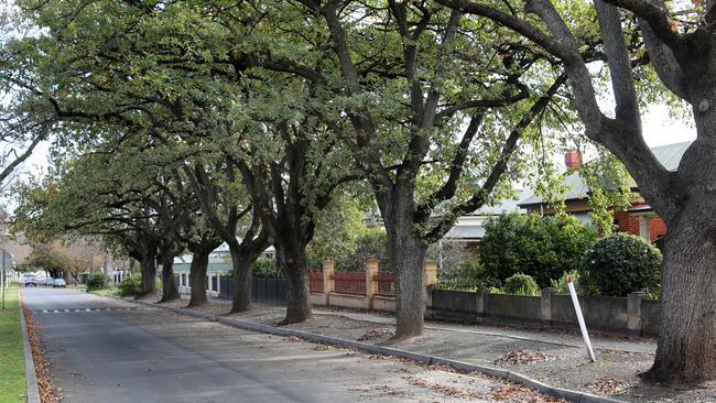 Alexandra Ave, Rose Park. Picture Dean Martin