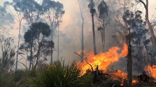 RAW: Network of fires burning in Tasmania's Fingal Valley