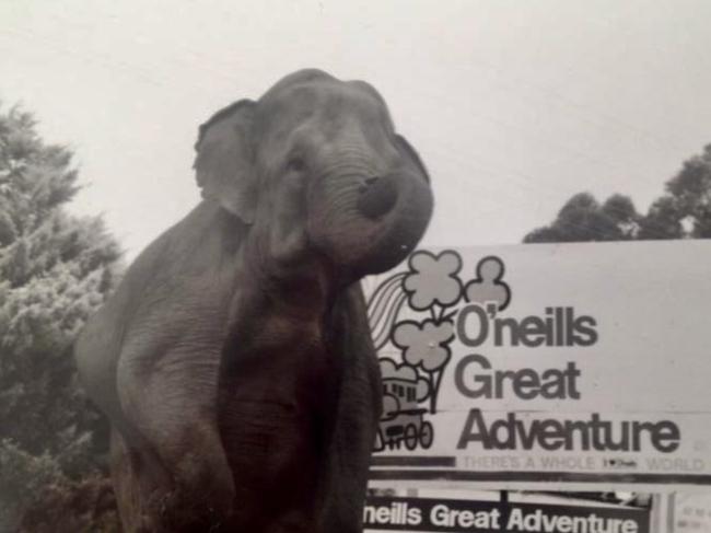 Adventureland at Edmondson Park, when it was previously known as O'Neill's Great Adventure. Picture: Supplied