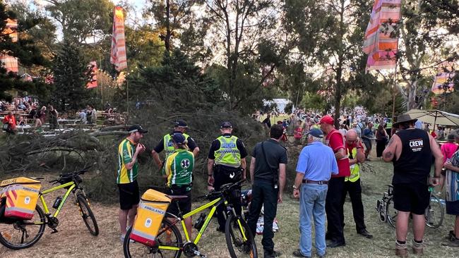 A large tree branch has fallen at WOMADelaide, injuring two people. Picture: Rod Savage