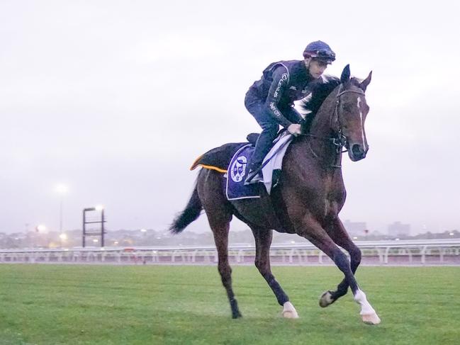 James McDonald aboard Loft - the star hoop is now looking for a new ride. Picture: Scott Barbour/Racing Photos via Getty Images