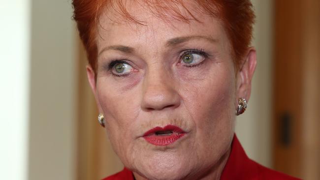 One Nation Party founder Pauline Hanson. Picture Gary Ramage