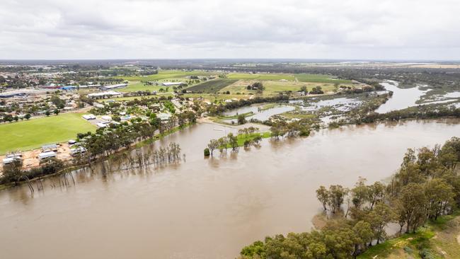 Berri Marina, Nov 2022. Picture: Riverland Commercial Photography