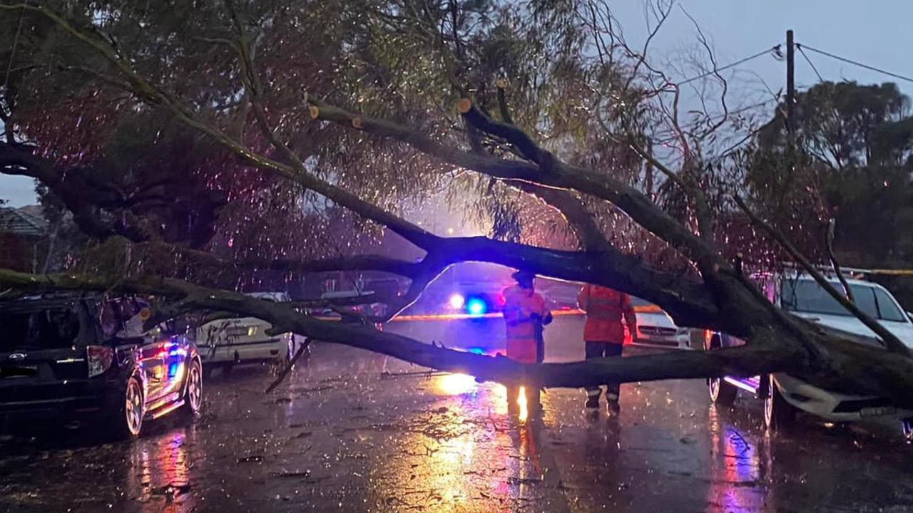 Flood and wind damage in the Sutherland Shire. Source: NSW SES Facebook.