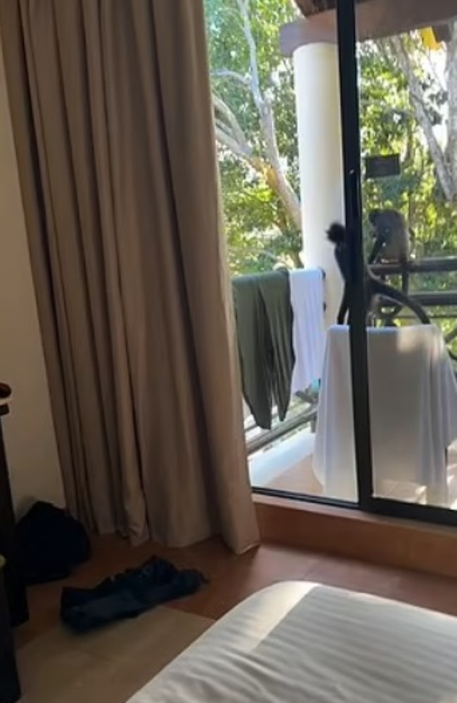 It entered via the balcony door. Picture: ViralHog
