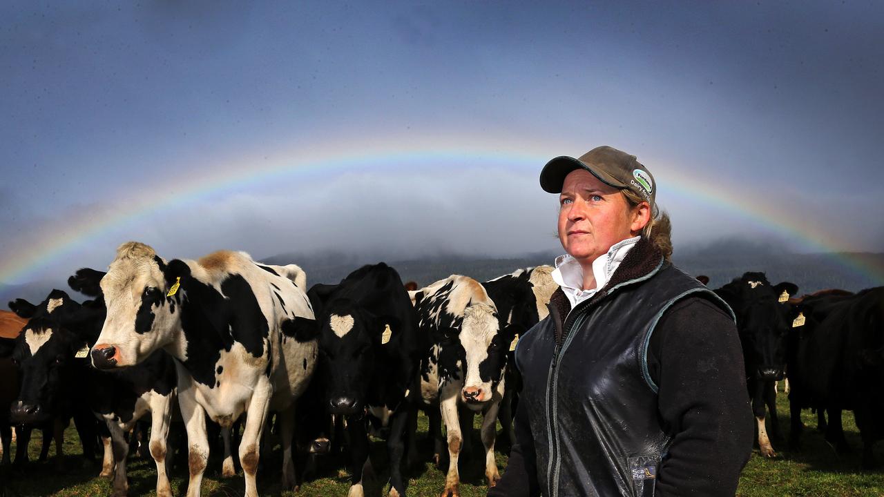 Dairy farmer Ellie Howe amongst the herd at Caveside