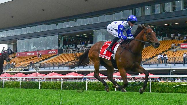 Hidden Wealth was dominant winner of the George Moore Stakes last Saturday. Picture: Grant Peters/Trackside Photography