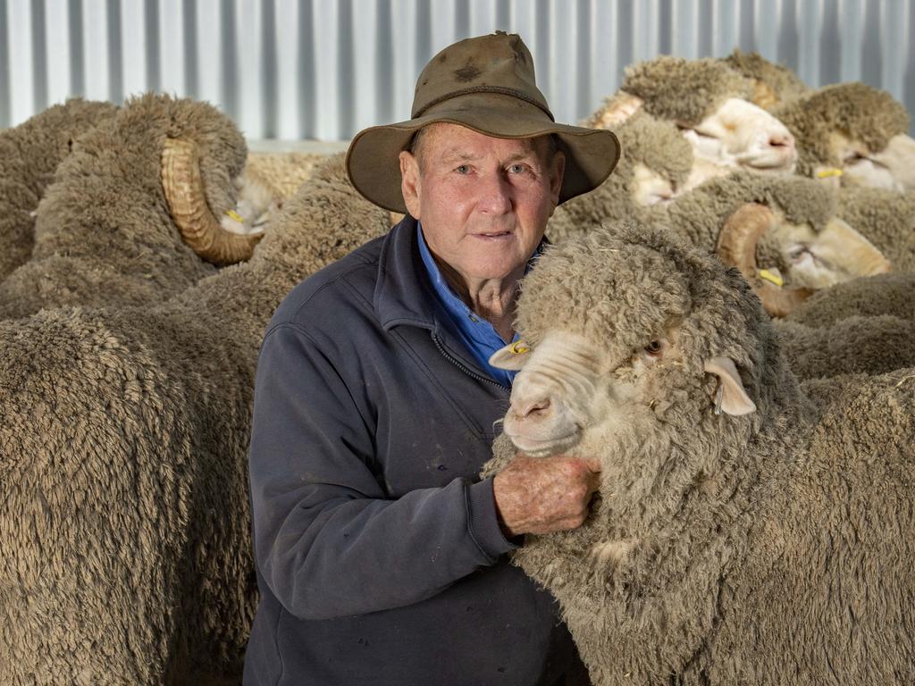 Southern Merino Field days: Stud Park South, Gelton Merino Stud | The ...